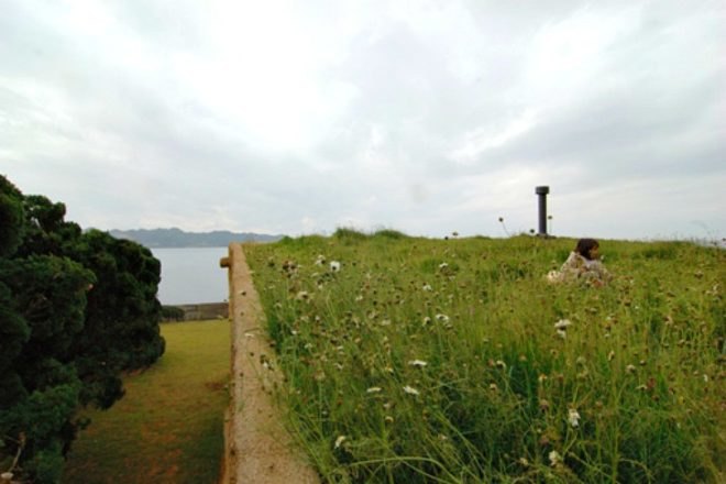 House C, Hiroshi Nakamura & NAP, japan, green roof, eco home, prairie roof, green home
