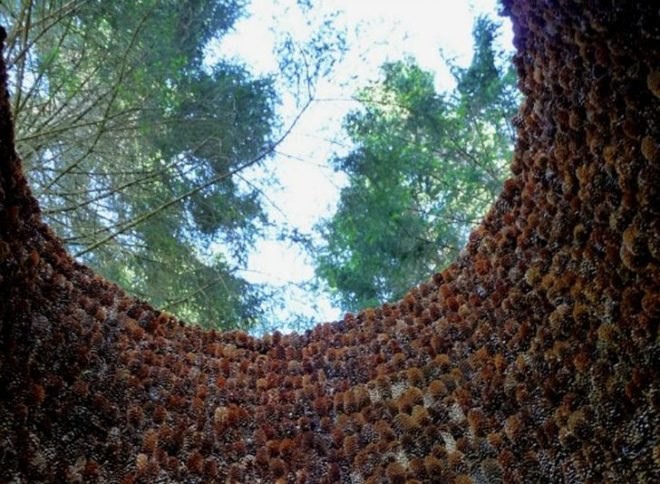 Nordic Artists Centre at Dalsåsen, Iván Juárez, x-studio, pine cone pavilion, inner forest, norway, temporary pavilion