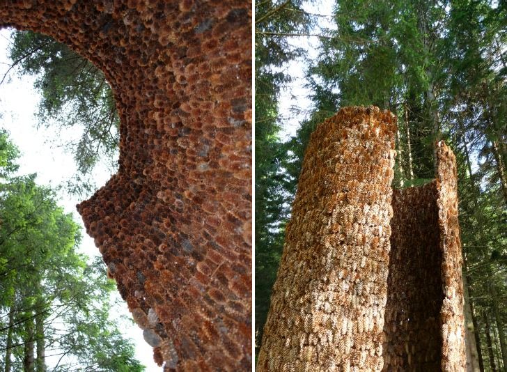 Nordic Artists Centre at Dals&aring;sen, Iv&aacute;n Ju&aacute;rez, x-studio, pine cone pavilion, inner forest, norway, temporary pavilion