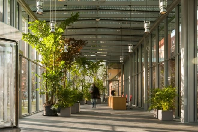 Isabella Stewart Gardner Museum, Renzo Piano Building Workshop, boston, green renovation, daylighting, eco museum