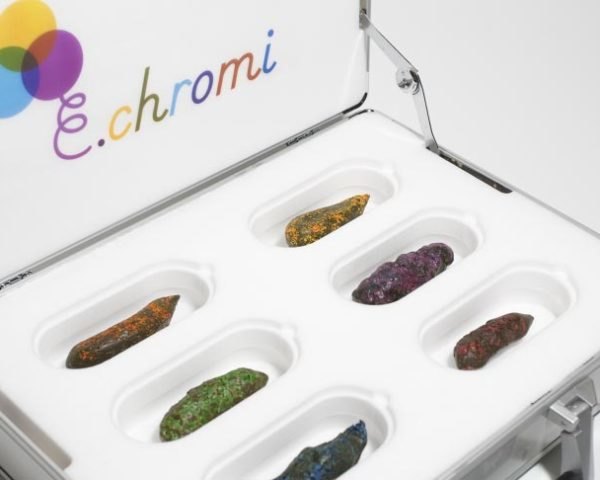 Design for Health, designer bacteria, cientific design, royal college of art, University of Cambridge's iGEM, poo,Poo Power!, colored poo, illness,e. chromi