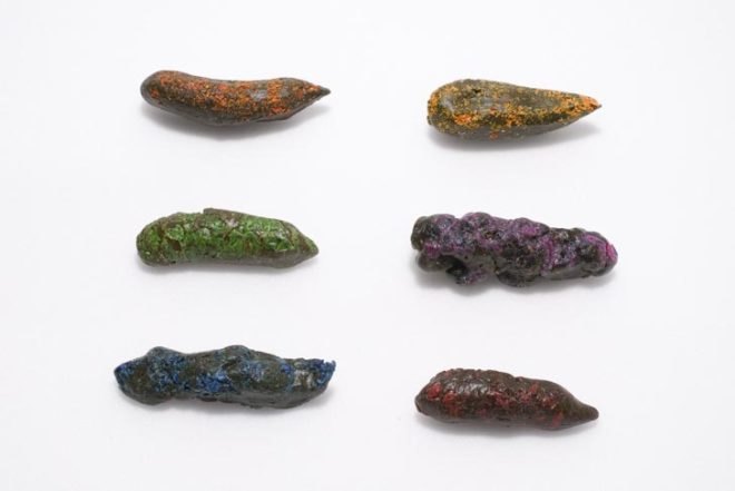 Design for Health, designer bacteria, cientific design, royal college of art, University of Cambridge's iGEM, poo,Poo Power!, colored poo, illness,e. chromi