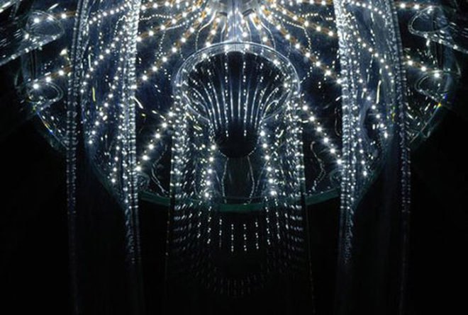 Jellyfish Chandelier, Skyphos 1, Kateřina Smolíková, led lighting, student lighting designs, green lighting, jellyfish inspired designs, deep sea inspired designs, green designs, eco lighting, led lighting, low energy lighting, energy efficient lighting