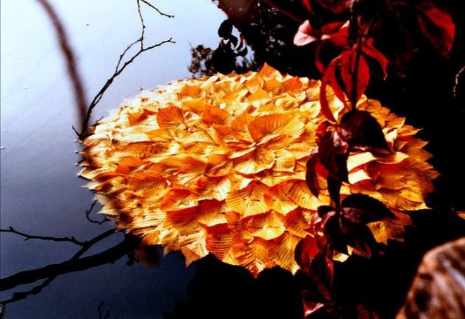 Land Art, Walter Mason, nature inspired art, organic art, eco art, green art