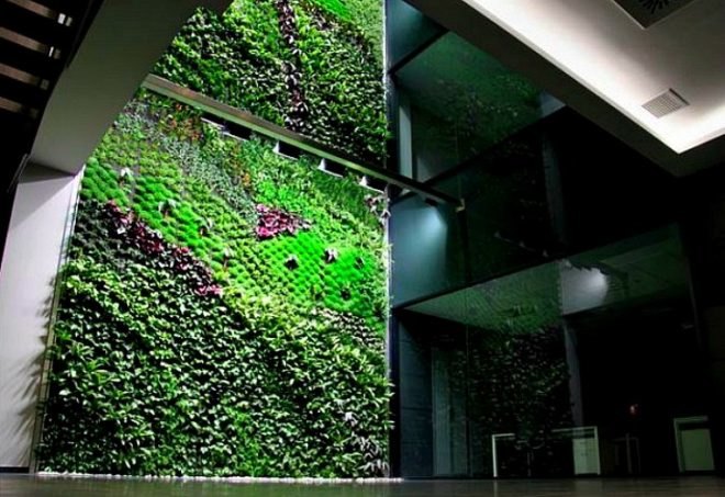living interior gardens, indoor vertical gardens, indoor living wall, green interiors, vertical garden, living wall,