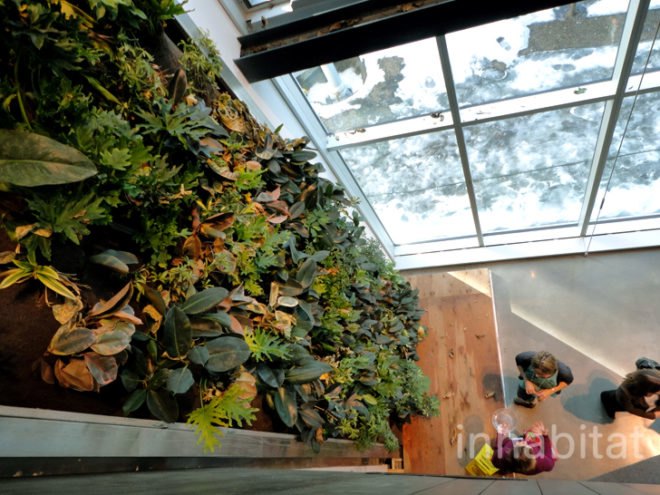 green design, eco design, sustainable design, Center for Sustainable Development, Montreal Maison Du Developpment Durable, living wall, Marie-Claire Blais, glass powder concrete, salvaged wood, green roof, Equiterre