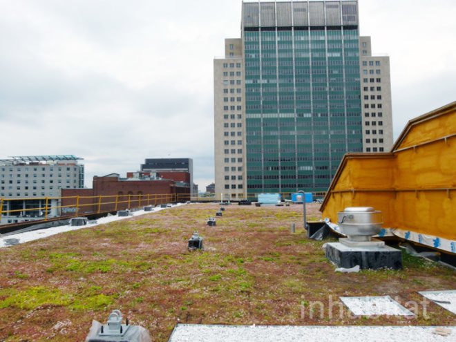 green design, eco design, sustainable design, Center for Sustainable Development, Montreal Maison Du Developpment Durable, living wall, Marie-Claire Blais, glass powder concrete, salvaged wood, green roof, Equiterre