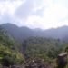 taliban, pakistan forests, Sarhad Awami Forestry Ittehad (SAFI), Sarhad Awami Forestry Ittehad taliban, taliban illegal timber, taliban pakistan, taliban environment, taliban timber smuggling, pakistan deforestation, pakistan illegal timber, osama bin laden