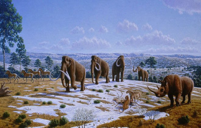 Chersky, biomimicry, recreating the ice age, Sakha Republic, siberian ice age, ice age siberia, Siberia, green house gas in the arctic, arctic green house gases, permafrost, permafrost and global warming, global warming, climate change, global climate change, stopping climate change, Sergei Zimov, Pleistocene Park