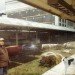 rollerhaus, architecture, living cities, eco, sustainable, concept, illustration, virtual, futuristic