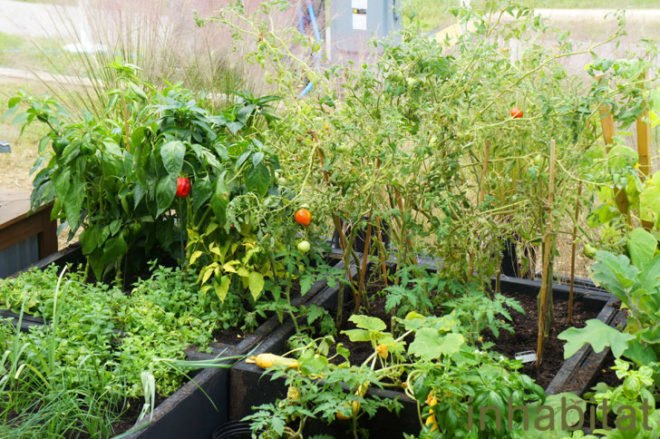 Solar Decathlon, WaterShed, University of Maryland, solar, photovoltaic, solar thermal, design contests, Pepco, green architecture, green design, sustainable design, energy efficient design,