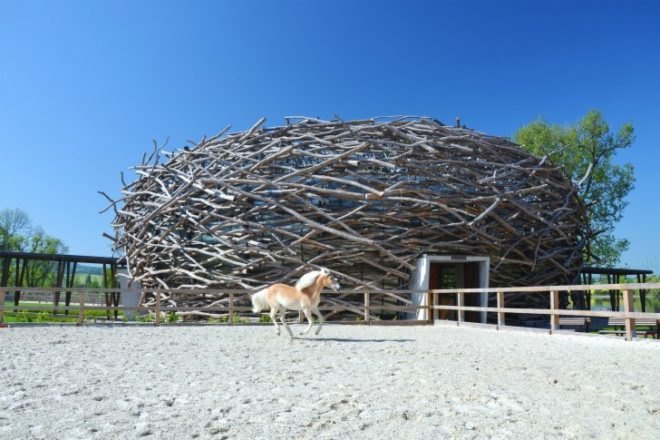 Stork Nest Farm, SGL Projekt, stork nest, riding arena, farm renovation, stork nest riding arena