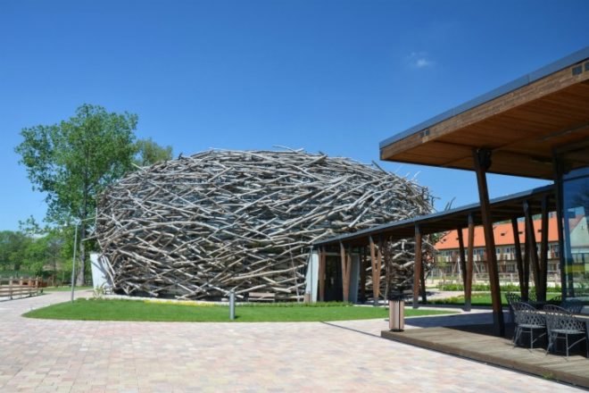 Stork Nest Farm, SGL Projekt, stork nest, riding arena, farm renovation, stork nest riding arena