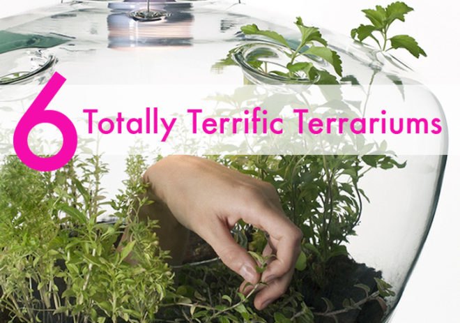 green design, eco design, sustainable design, terrariums, indoor garden, Paula Hayes, MoMA, Marianne Boesky, Jose Agatep, Slug and Squirrel, DIY terrarium, Biome terrarium, Sam Wilkinson, TERRA terrarium, Fort Standard, Kristyna Pojerova, Glasshouse terrarium, DIY Terrarium necklace
