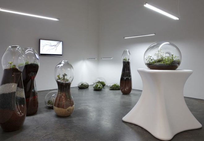 green design, eco design, sustainable design, terrariums, indoor garden, Paula Hayes, MoMA, Marianne Boesky, Jose Agatep, Slug and Squirrel, DIY terrarium, Biome terrarium, Sam Wilkinson, TERRA terrarium, Fort Standard, Kristyna Pojerova, Glasshouse terrarium, DIY Terrarium necklace
