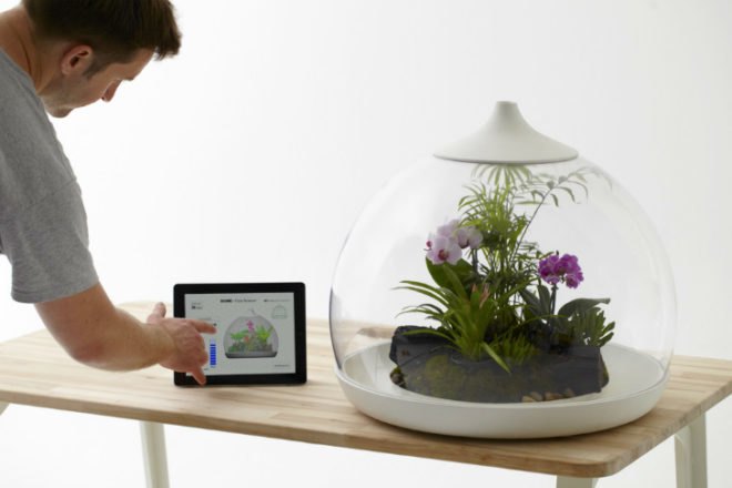 green design, eco design, sustainable design, terrariums, indoor garden, Paula Hayes, MoMA, Marianne Boesky, Jose Agatep, Slug and Squirrel, DIY terrarium, Biome terrarium, Sam Wilkinson, TERRA terrarium, Fort Standard, Kristyna Pojerova, Glasshouse terrarium, DIY Terrarium necklace