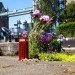 Steve Wheen, The Pothole Gardener, East London, art, environmental art, urban gardening, urban design, green design, sustainable design, guerrilla gardening, eco design, England,