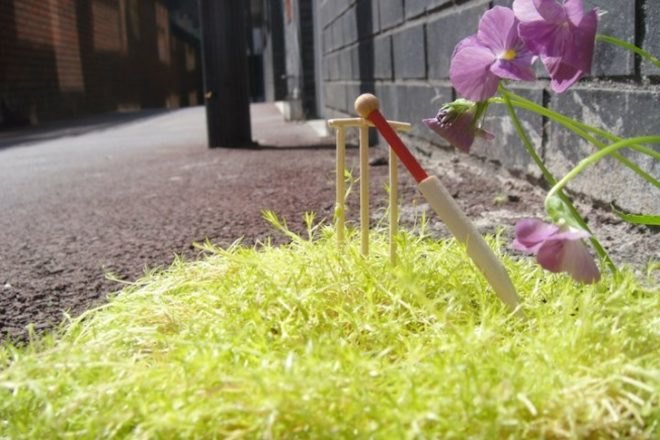 Steve Wheen, The Pothole Gardener, East London, art, environmental art, urban gardening, urban design, green design, sustainable design, guerrilla gardening, eco design, England,