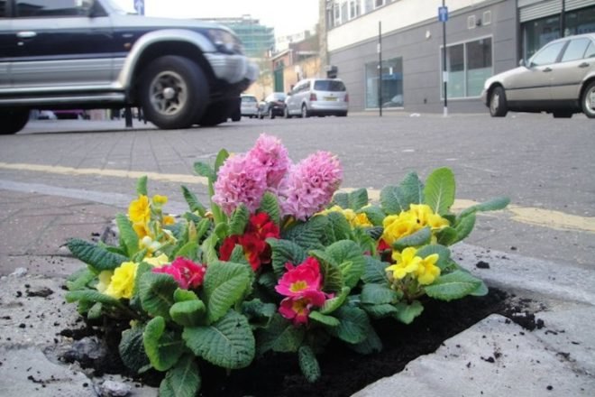 Steve Wheen, The Pothole Gardener, East London, art, environmental art, urban gardening, urban design, green design, sustainable design, guerrilla gardening, eco design, England,