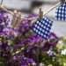 Steve Wheen, The Pothole Gardener, East London, art, environmental art, urban gardening, urban design, green design, sustainable design, guerrilla gardening, eco design, England,