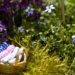 Steve Wheen, The Pothole Gardener, East London, art, environmental art, urban gardening, urban design, green design, sustainable design, guerrilla gardening, eco design, England,