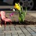 Steve Wheen, The Pothole Gardener, East London, art, environmental art, urban gardening, urban design, green design, sustainable design, guerrilla gardening, eco design, England,