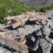 taliban, pakistan forests, Sarhad Awami Forestry Ittehad (SAFI), Sarhad Awami Forestry Ittehad taliban, taliban illegal timber, taliban pakistan, taliban environment, taliban timber smuggling, pakistan deforestation, pakistan illegal timber, osama bin laden