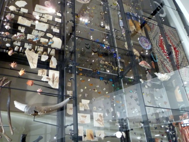 Utah Natural History Museum, Ennead, salt lake city, inhabitat exclusive, natural history museum, eco museum, green museum, todd schliemann