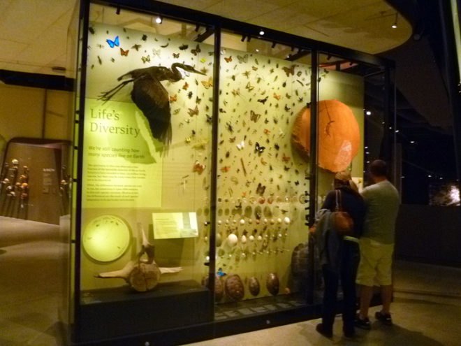 Utah Natural History Museum, Ennead, salt lake city, inhabitat exclusive, natural history museum, eco museum, green museum, todd schliemann