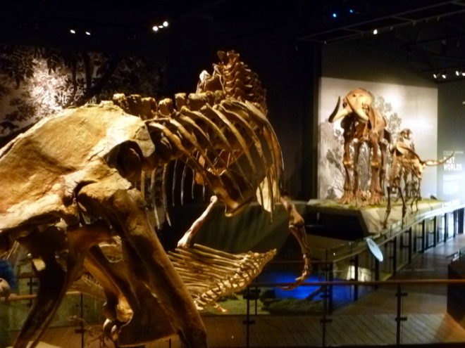 Utah Natural History Museum, Ennead, salt lake city, inhabitat exclusive, natural history museum, eco museum, green museum, todd schliemann