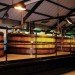 scottish whisky, whisky, whiskey, whisky biofuel, scottish biofuel, scottish energy, scottish renewable energy, green energy, energy from liquor, Edinburgh Napier University's Celtic Renewables Ltd, edinburgh, napier university, celtic renewables