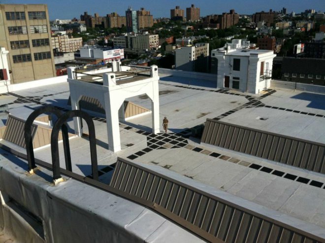 Brooklyn Grange, Brooklyn Grange expanding, Brooklyn Grange farm, Brooklyn Grange expansion, brooklyn navy yard, rooftop farm, urban agriculture, rooftop farm nyc, urban farming, urban farms nyc, urban farm brooklyn