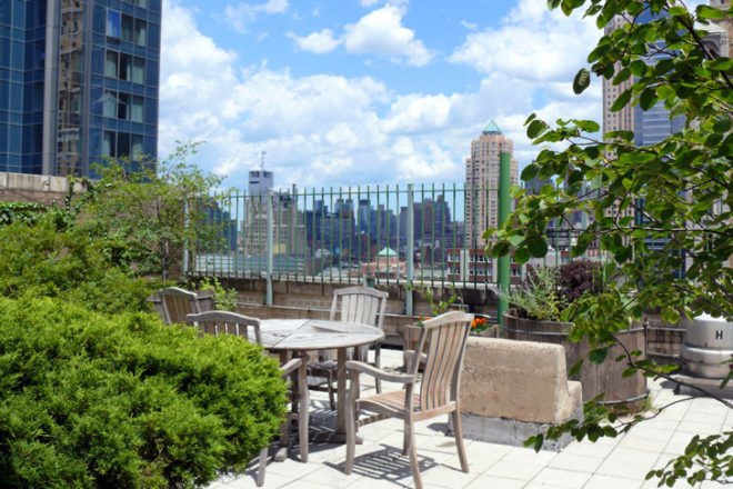 green jobs training, manhattan community board 9, horticultural society of new york, strive, strive job training, green construction training, green jobs nyc, green jobs harlem, columbia university