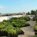 green jobs training, manhattan community board 9, horticultural society of new york, strive, strive job training, green construction training, green jobs nyc, green jobs harlem, columbia university