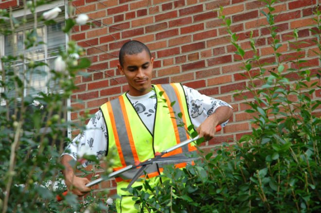 green jobs training, manhattan community board 9, horticultural society of new york, strive, strive job training, green construction training, green jobs nyc, green jobs harlem, columbia university