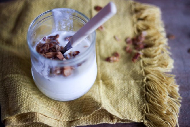 yogurt, organic foods, recipes, DIY, dairy, sustainable food, cooking, milk, inhabitots, parenting,