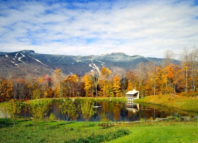 tiny homes, meditation pavilion, david coleman, pond, cabin, green design, vermont, green mountains, sustainable design, eco design, sustainable architecture, minimalist design, minimalist, cedar, woodland, rumford fireplace, forest