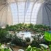 island resorts, island eco-resorts, sustainable island resorts, global island resorts, Tropical Islands, Germany