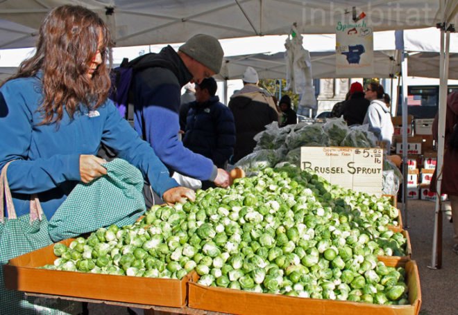 6 Green Ways to Help You Keep Your New Year's Resolutions, new year's resolutions, resolutions for 2012, 2012, new year's, better 2012, resolutions, green resolutions, green new year's resolutions, green lifestyle