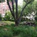 new york, nyc, new york news, nyc new, green new york, green new york news, green nyc news, green nyc, st. vincent's hospital, nyc aids memorial park, new york city aids memorial park, studio a+i, lily lim, john thurtle, insook kim, esteban erlich, infinite forest, infinite forest aids park, aids memorial park, aids memorial, nyc aids memorial, nyc aids, aids,