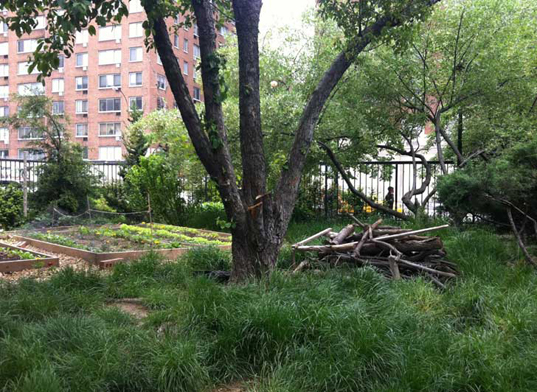 new york, nyc, new york news, nyc new, green new york, green new york news, green nyc news, green nyc, st. vincent's hospital, nyc aids memorial park, new york city aids memorial park, studio a+i, lily lim, john thurtle, insook kim, esteban erlich, infinite forest, infinite forest aids park, aids memorial park, aids memorial, nyc aids memorial, nyc aids, aids,