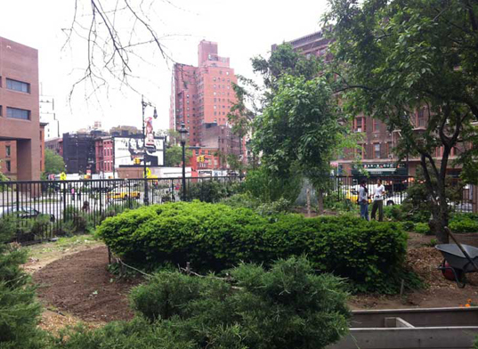 new york, nyc, new york news, nyc new, green new york, green new york news, green nyc news, green nyc, st. vincent's hospital, nyc aids memorial park, new york city aids memorial park, studio a+i, lily lim, john thurtle, insook kim, esteban erlich, infinite forest, infinite forest aids park, aids memorial park, aids memorial, nyc aids memorial, nyc aids, aids,
