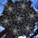 joel cooper, origami art, paper artwork, 3d paper sculptures, origami joel, handpainted paper, tessellated shape patterns, paper masks