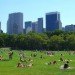PlaNYC Future, planyc, manhattan skyline, mayor bloomberg, sustainability initiatives, green building, planyc goals