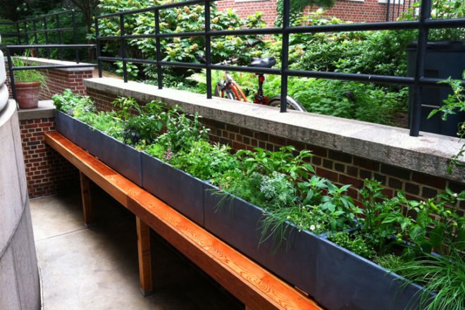 green jobs training, manhattan community board 9, horticultural society of new york, strive, strive job training, green construction training, green jobs nyc, green jobs harlem, columbia university