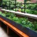 green jobs training, manhattan community board 9, horticultural society of new york, strive, strive job training, green construction training, green jobs nyc, green jobs harlem, columbia university