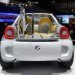 Smart electric pickup truck, smart EV truck, EV, electric truck, electric pickup truck, Smart EV, Smart electric truck, Smart EV truck, bizarrely small truck, smart, pick up, for us, detroit auto show, green car, electric vehicle, e-bikes, sustainable, NAIAS