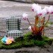 Steve Wheen, The Pothole Gardener, East London, art, environmental art, urban gardening, urban design, green design, sustainable design, guerrilla gardening, eco design, England,
