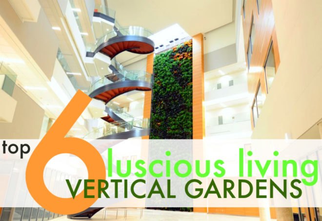 top 6, 6 luscious living vertical gardens, indoor vertical garden, indoor living wall, living wall, fresh air, indoor air quality, green design, green interiors, sustainable design