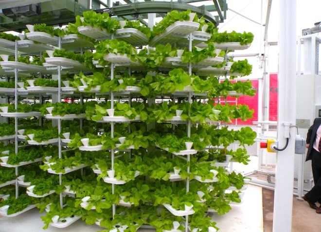 Valcent, Valcent Products, Henry Ford, vertical farming, urban design, urban farming, VertiCrop, green design, sustainable design, eco design, green design, hydroponics, water issues, space issues, energy issues, small footprint